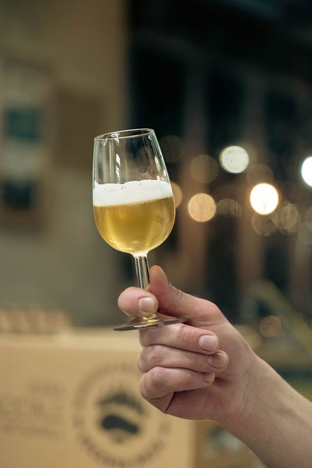 Una mano tiene un bicchiere da degustazione con birra artigianale dorata e schiuma. Sullo sfondo, luci soffuse e una scatola con un logo parzialmente visibile